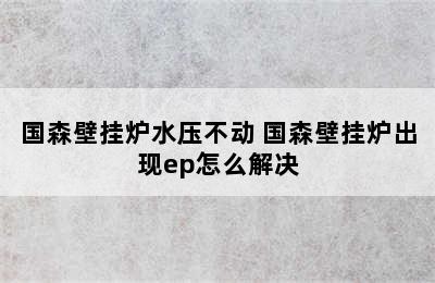 国森壁挂炉水压不动 国森壁挂炉出现ep怎么解决